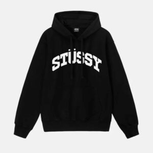 STUSSY BLOCK SPORT HOODIE